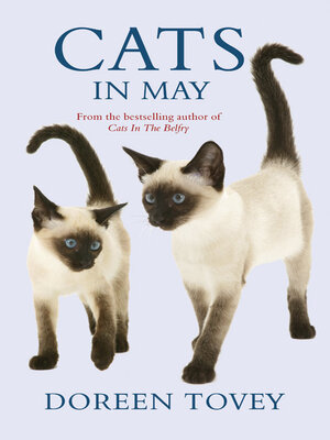 cover image of Cats in May